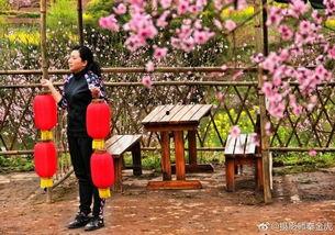 独家爆料平乐下村视频,独家视频带你领略乡村风情